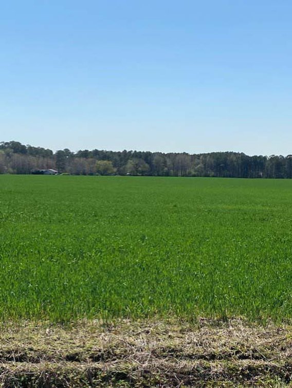 Image for Two Gorgeous Farms in Cumberland County with a Total of 193.27 Acres