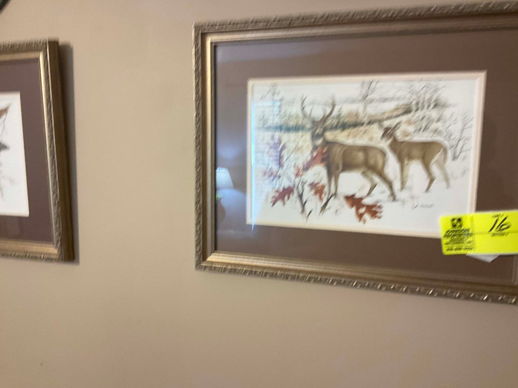 Image for Online Only Personal Property Auction in Angier.