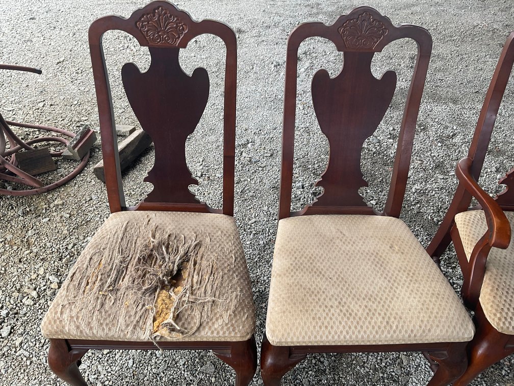 Image for Multi-Consignor Online Only Personal Property Auction at JP!