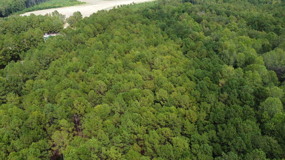 Image for Approx. 300 Acres Divided into 4 tracts and a Home in Harnett County!