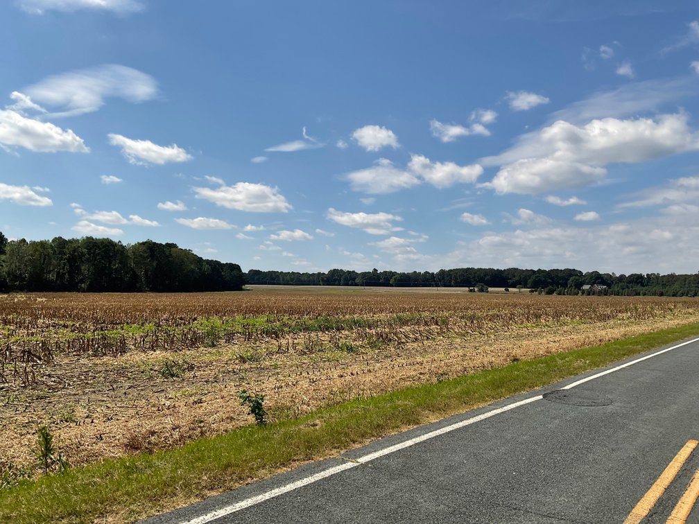 Image for Approx. 300 Acres Divided into 4 tracts and a Home in Harnett County!