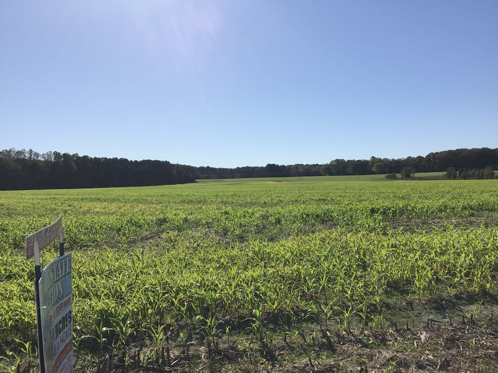 Image for Approx. 300 Acres Divided into 4 tracts and a Home in Harnett County!