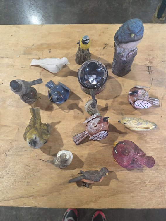 Bird lot
