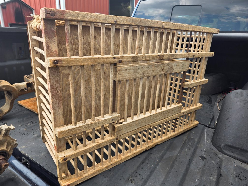 Chicken crate OSR6