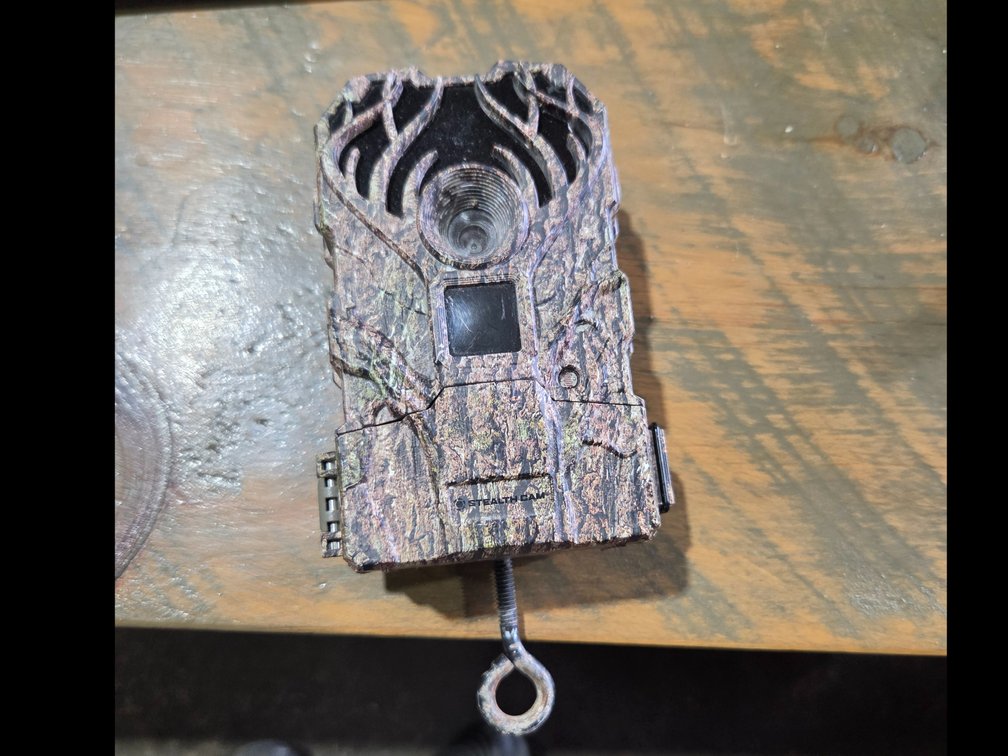 Trail cam  FD