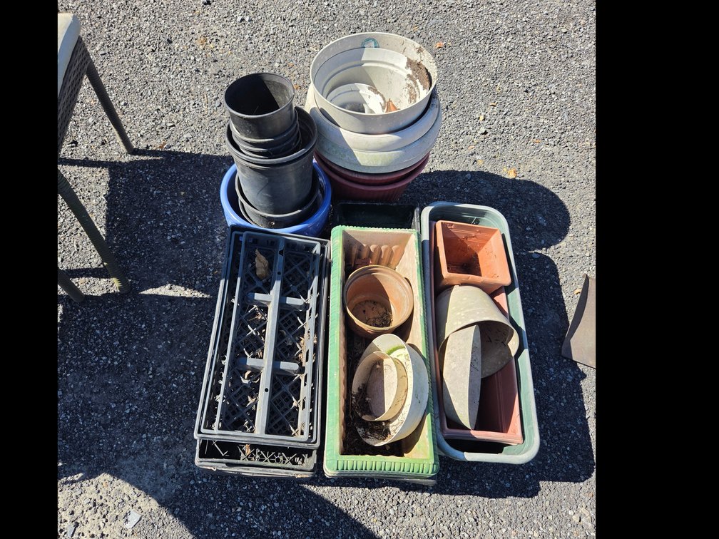 Flower pot lot. OSR2