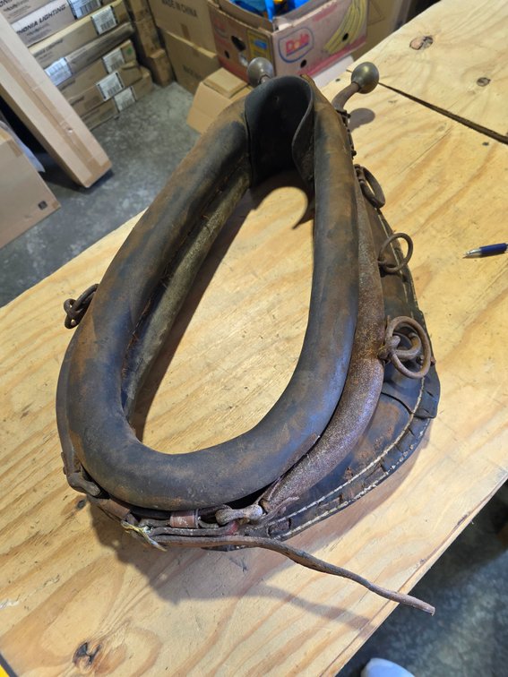 Horse collar with brass hems R2C