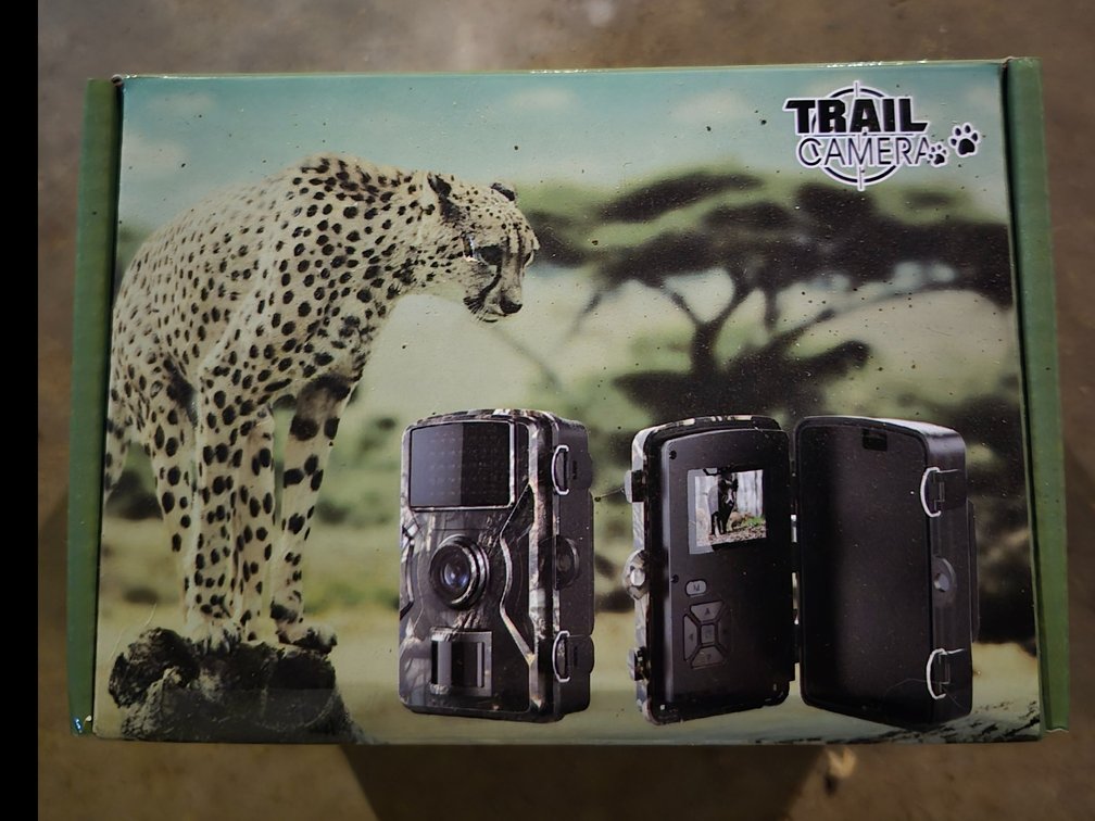 Trailer camera