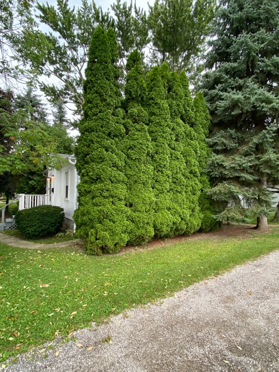 Image for 1-BR Home Auction: New Roof, Landscaped Lot – $60,000 Minimum Bid