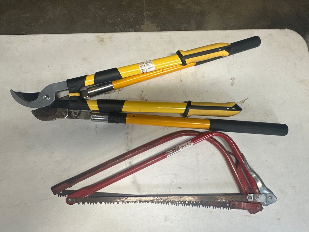 2 Pruning saws, 2 loppers.  Total of 4 items.