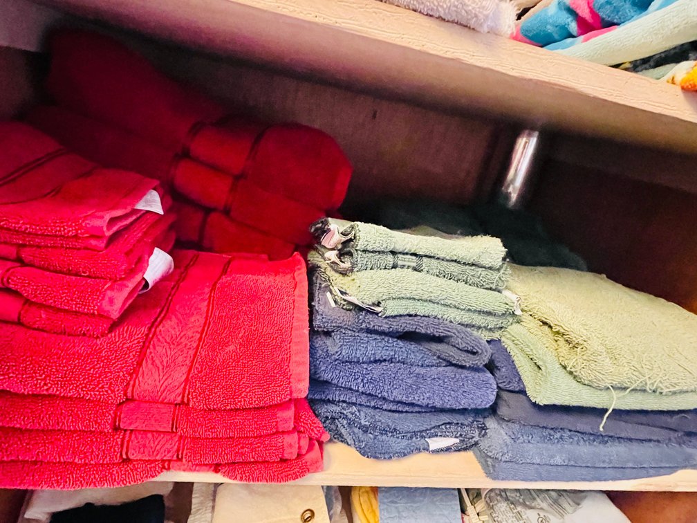 Contents of Back Bedroom Closet and Hall Closet-Towels, Bed Linens, Pillows, Small Rugs