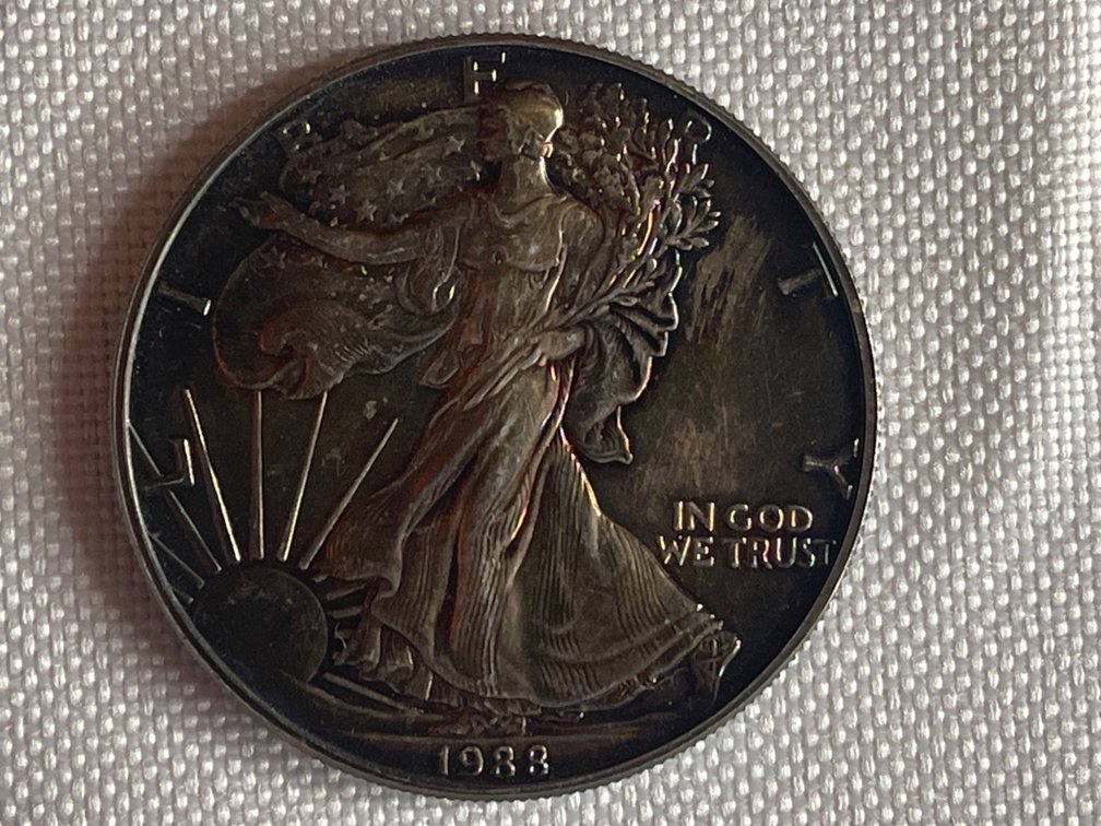 1988 1oz Silver Dollar