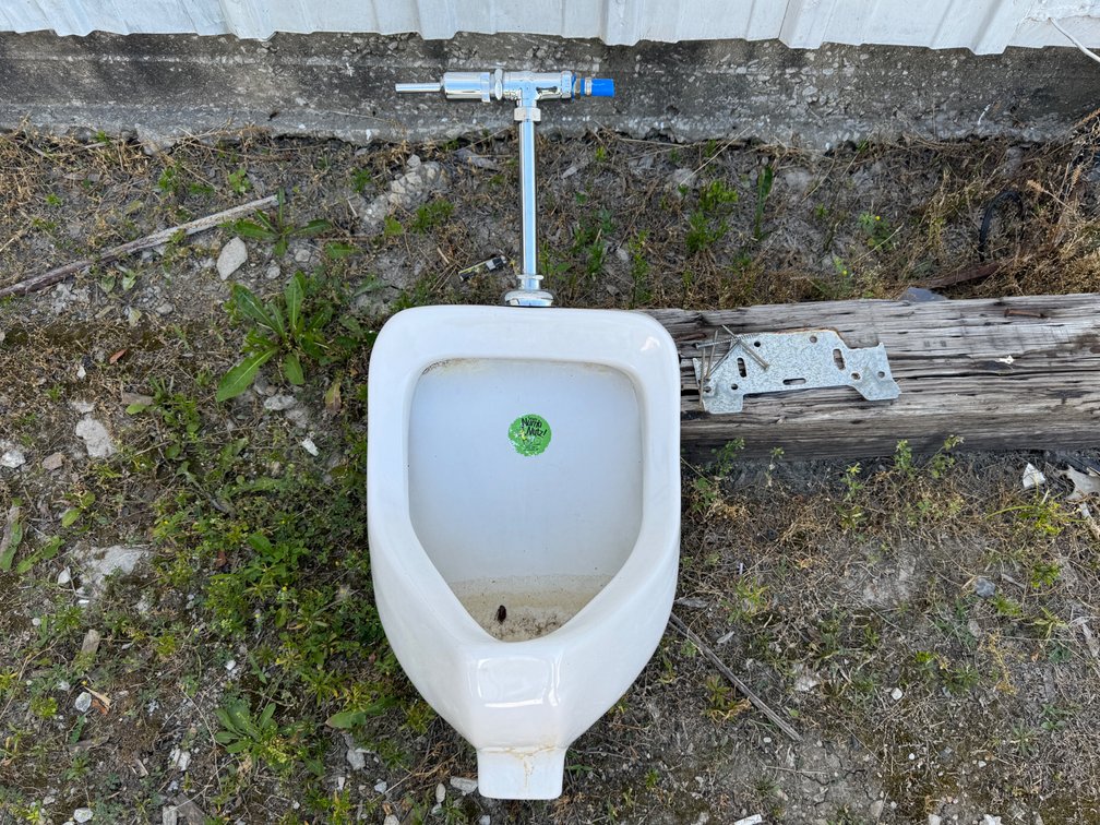 Urinal, wall mount with flush valve