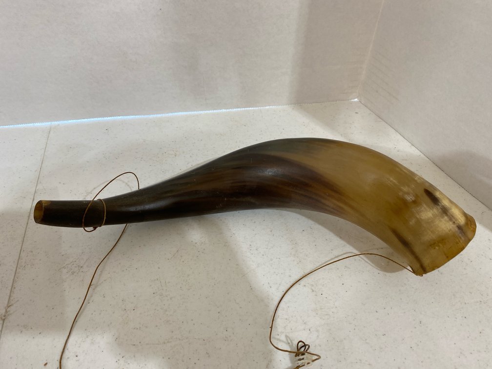 Variety of Horns