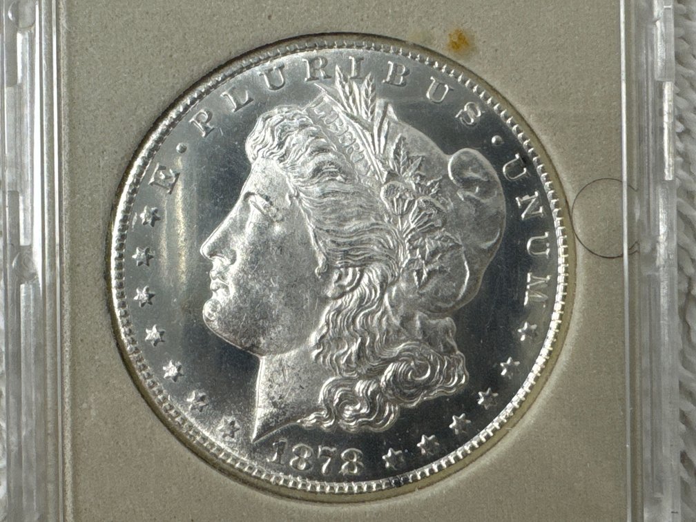 1878 Morgan Silver Dollar