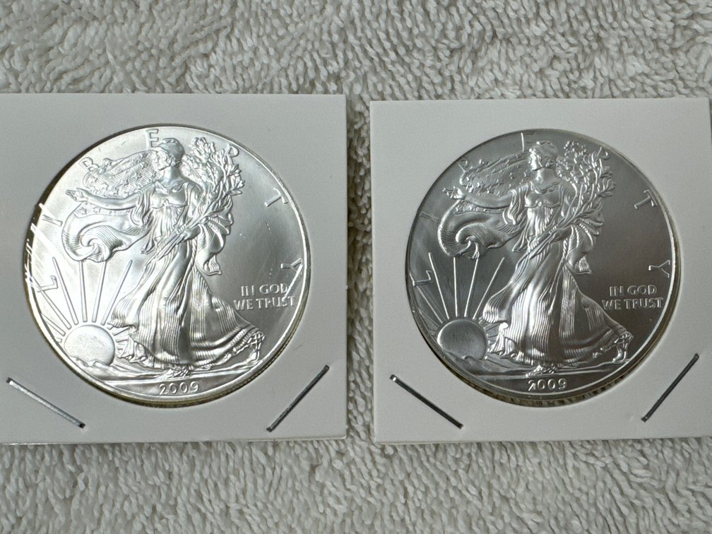 2009 Liberty 1oz silver dollar quantity two