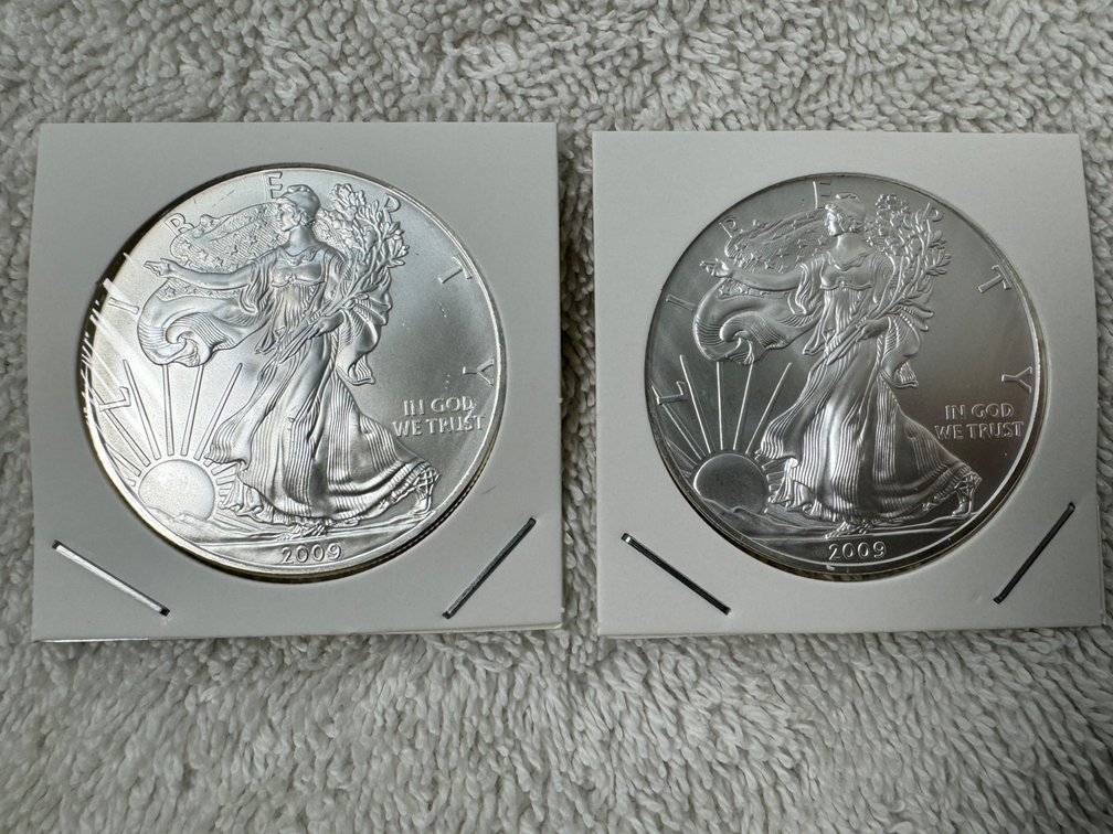 2009 Liberty 1oz silver dollar quantity two
