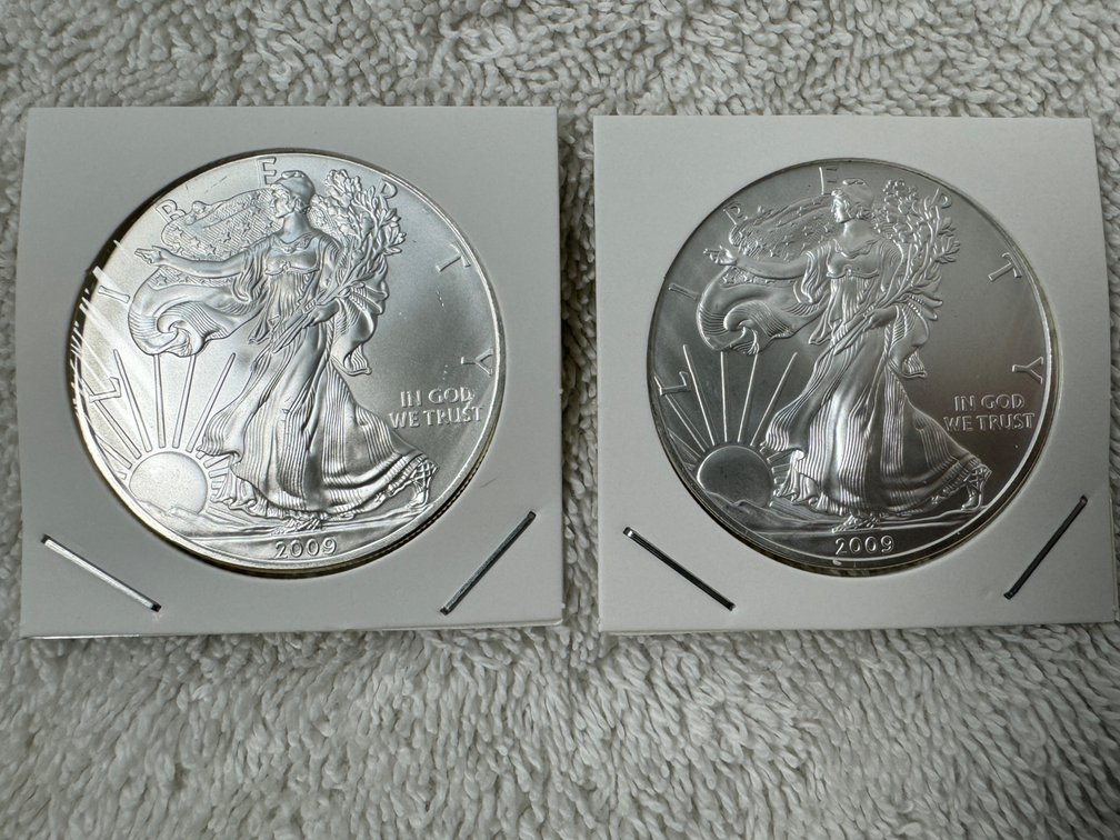 2009 Liberty 1oz silver dollar quantity two