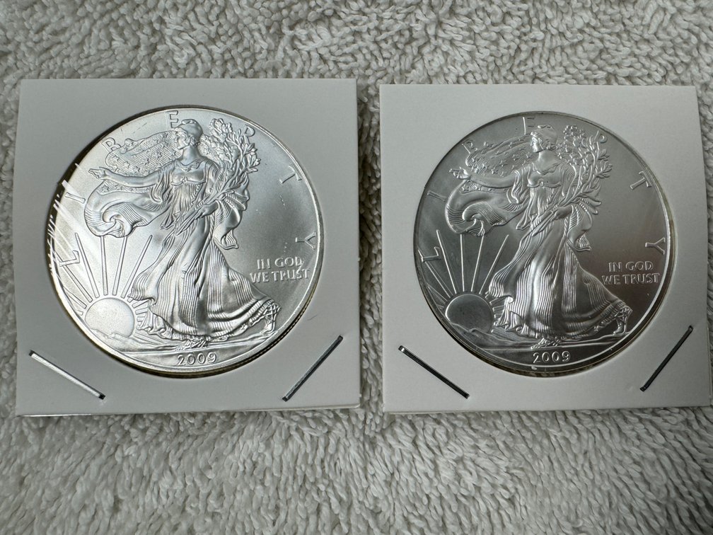 2009 Liberty 1oz silver dollar quantity two
