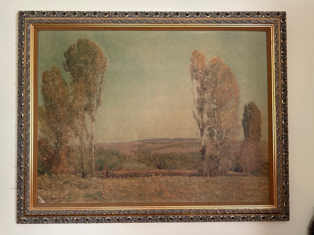 Golden Afternoon Framed Print