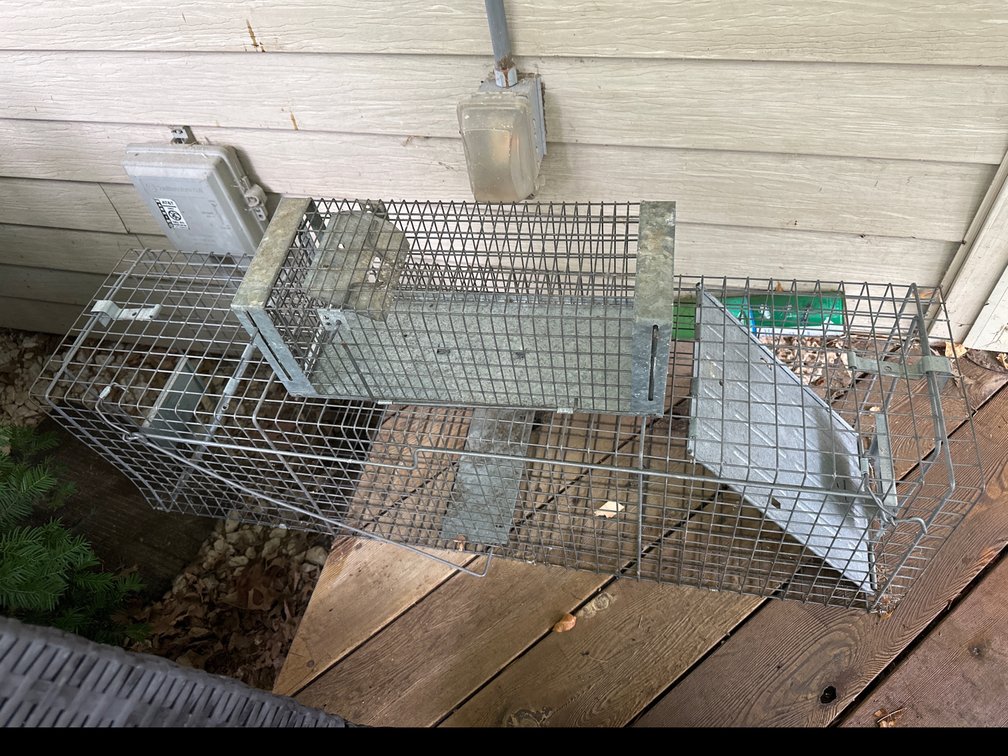 2 Small animal traps
