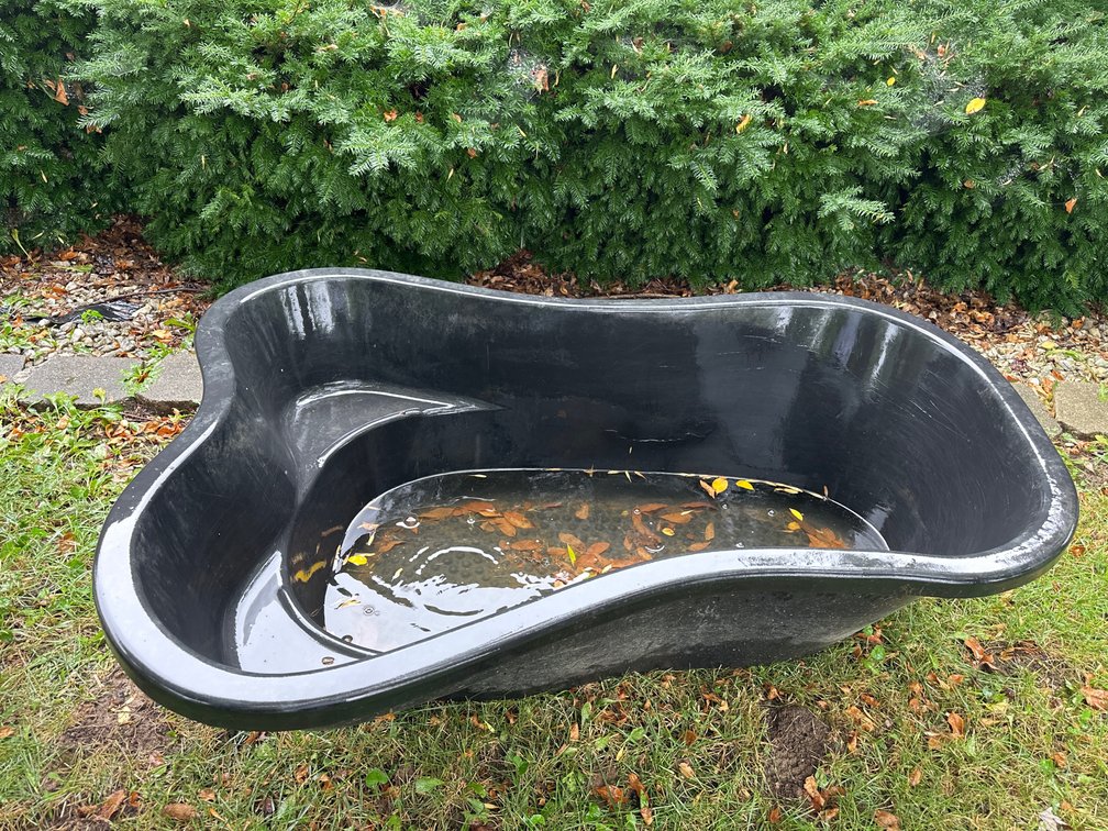 Fish Pond