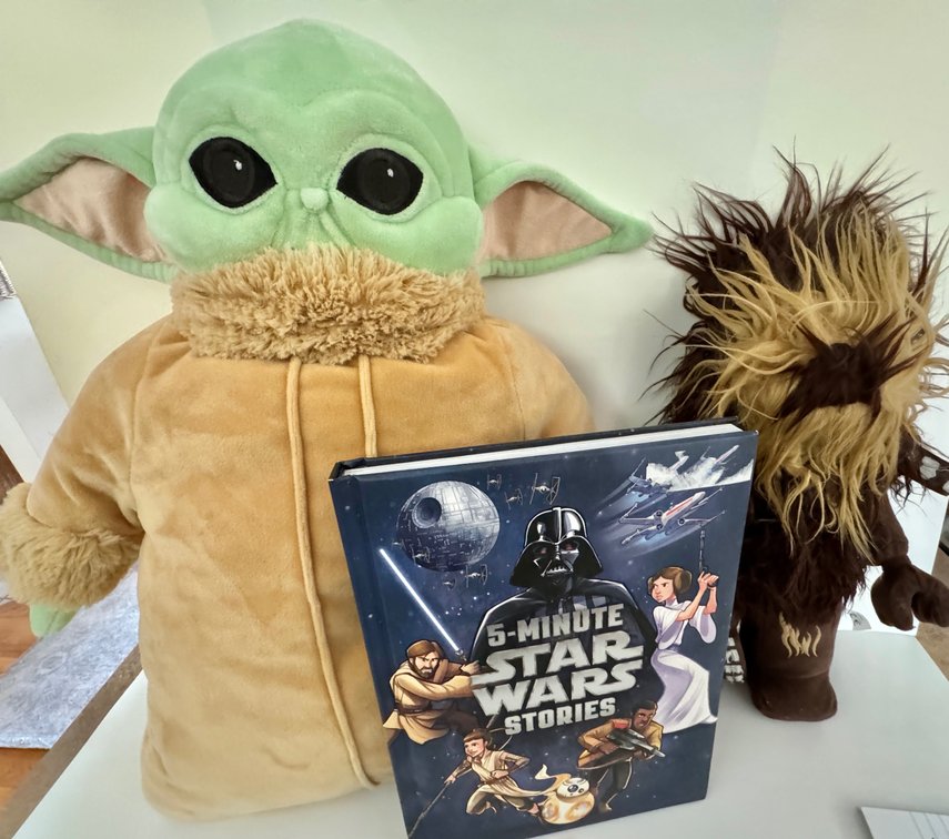 Star Wars Book, Chewbacca, and Yoda Pillow Pet