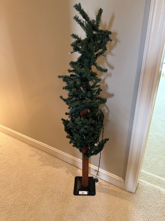 Lighted Christmas Tree