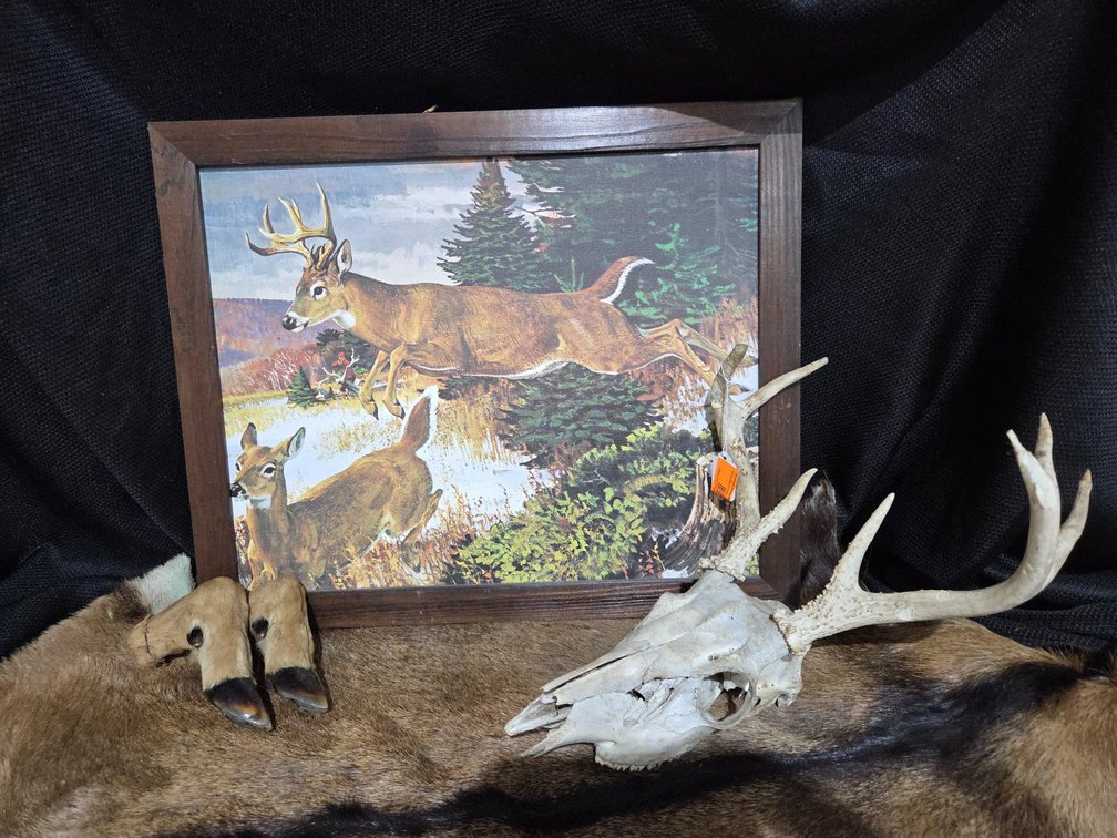 Deer related items