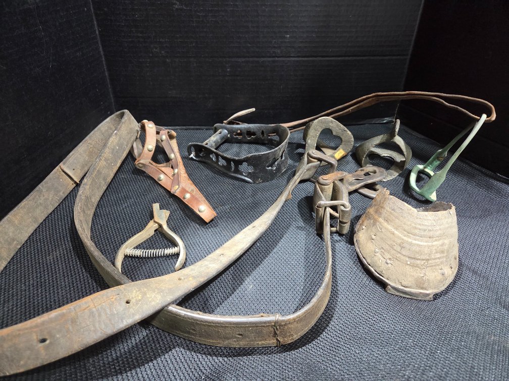 Horse Items