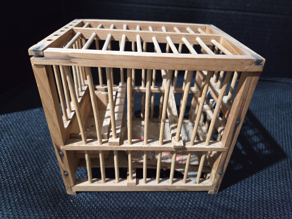 Coal Miner’s Canary Cage