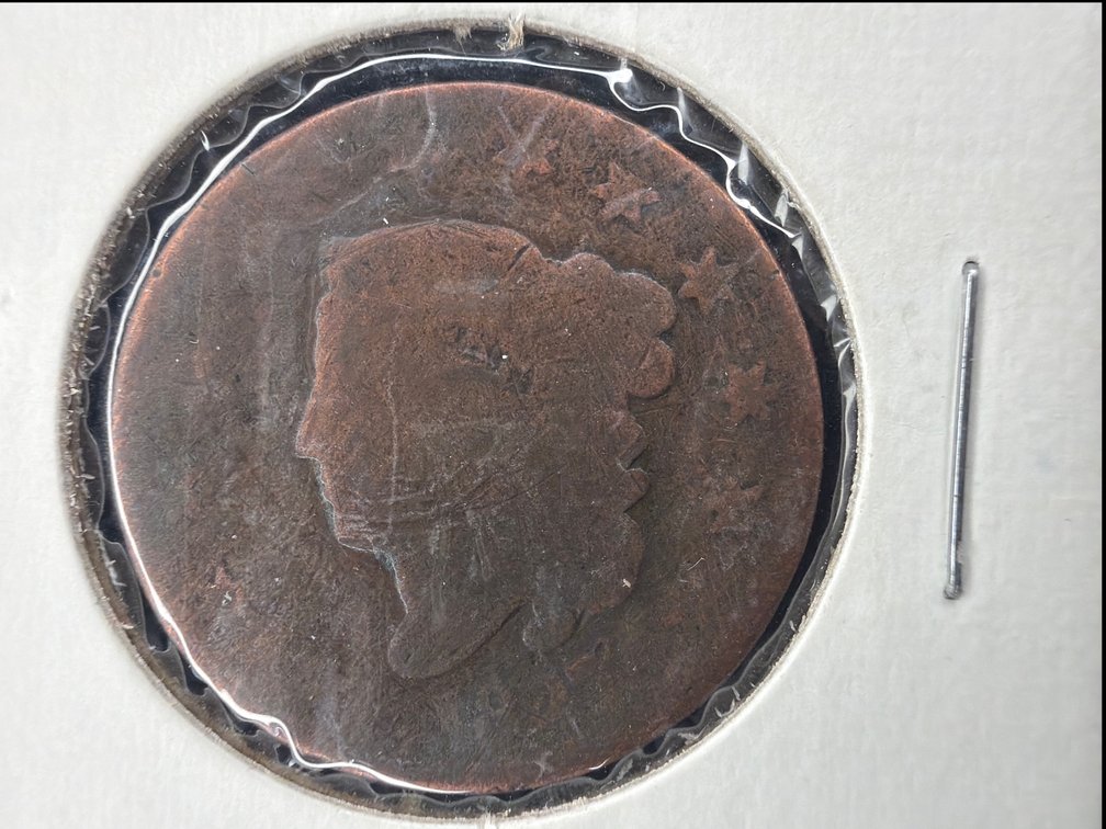 Large Cent