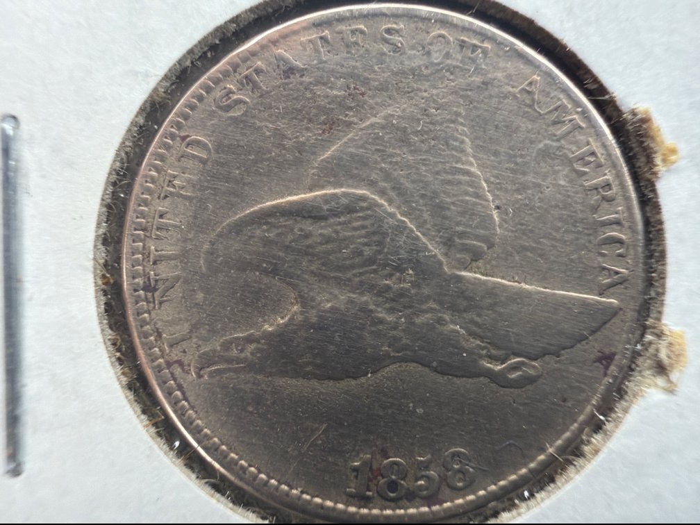 Flying Eagle