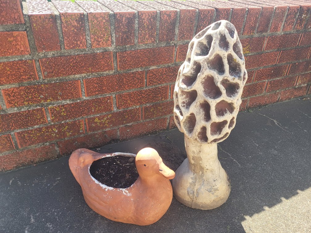 Morel mushroom Garden Statue