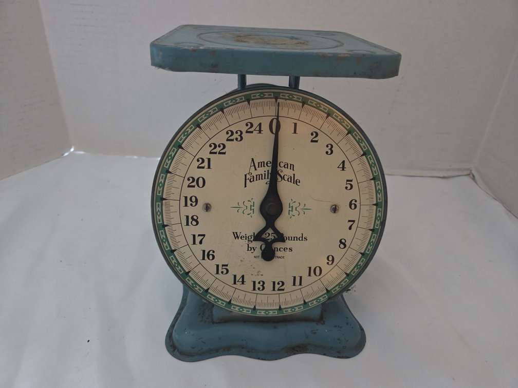 American Family Scale