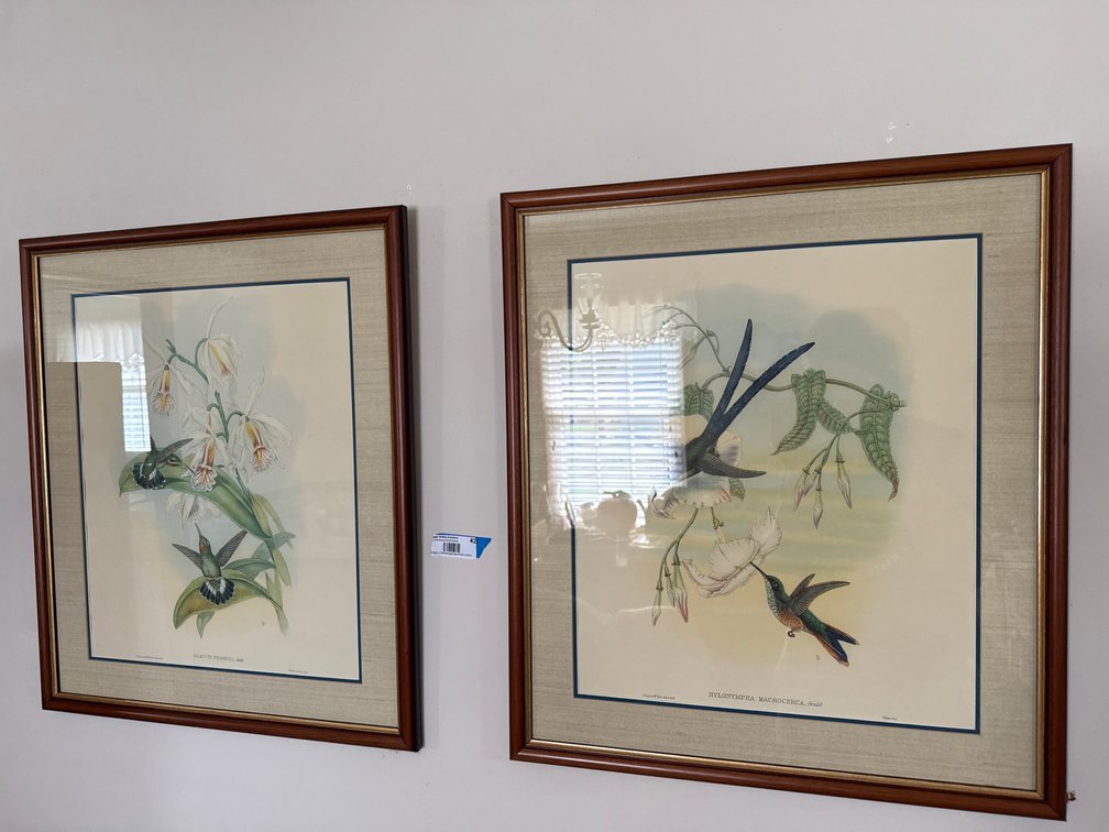Wall Decor