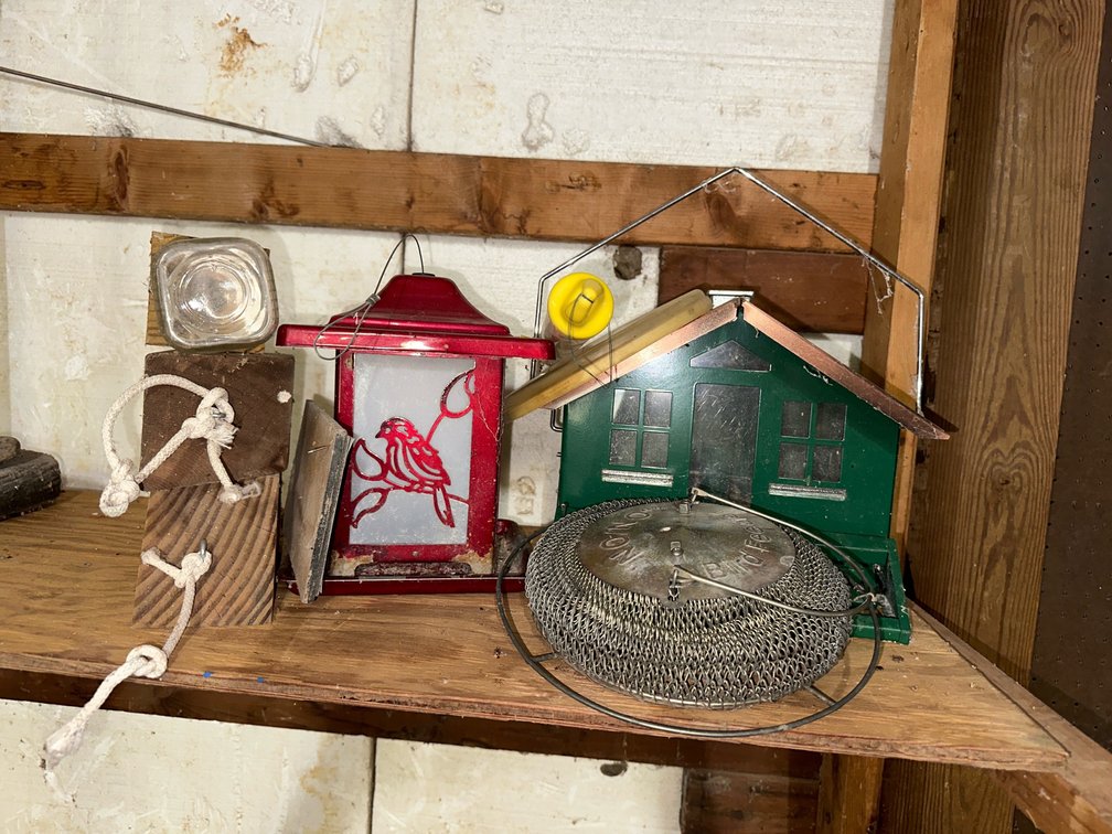 lot of bird feeders 