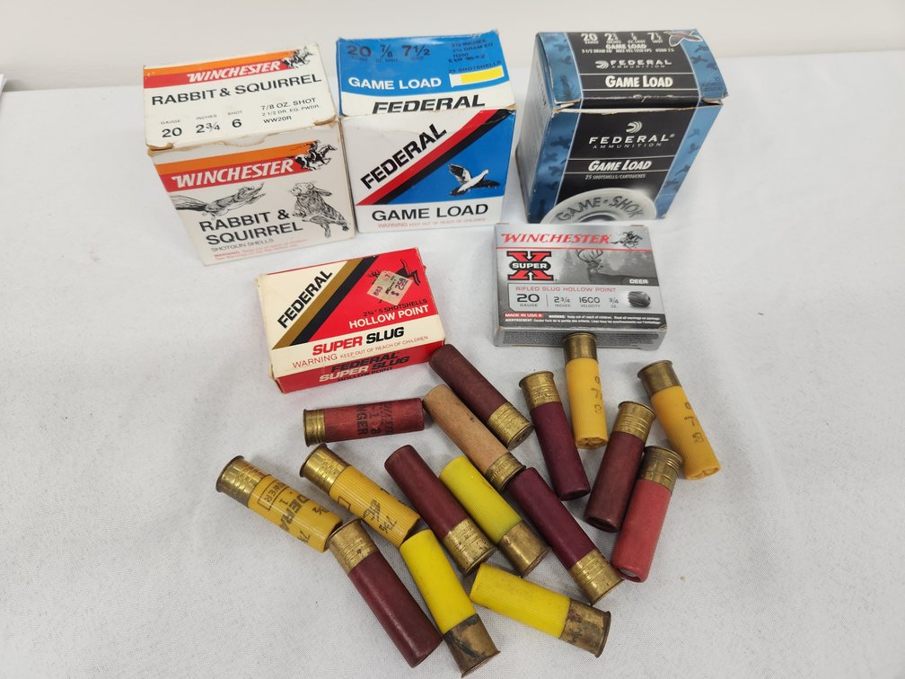20ga Ammo