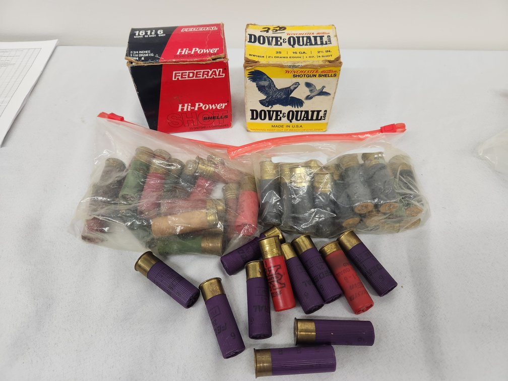 16 ga Ammo