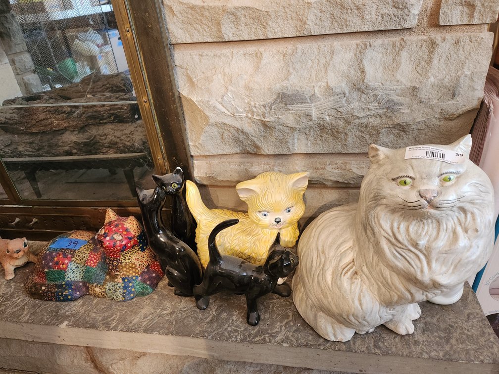 Cats