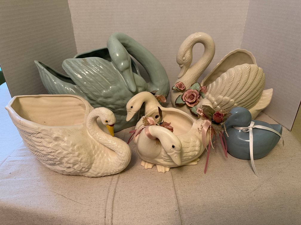 Swans