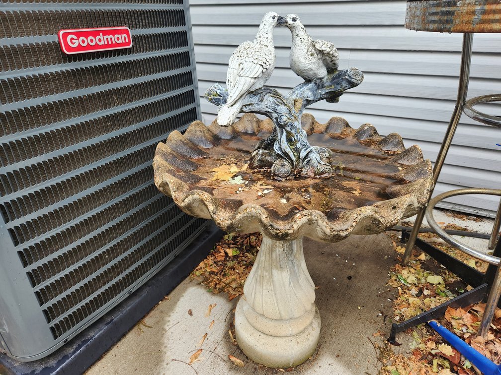Bird Bath