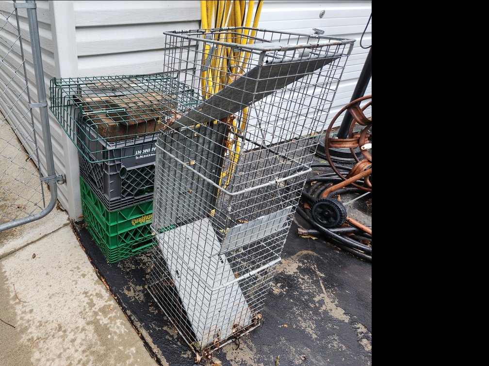 Large Live Trap