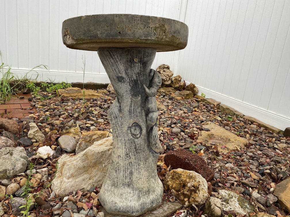 Bird Bath