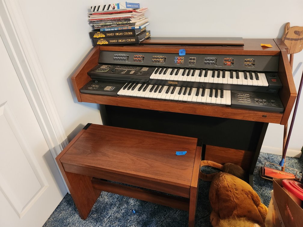 Organ