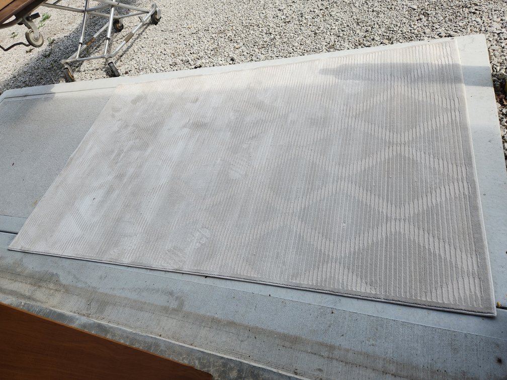 Area rug - like new