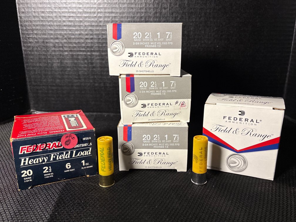 Ammo 