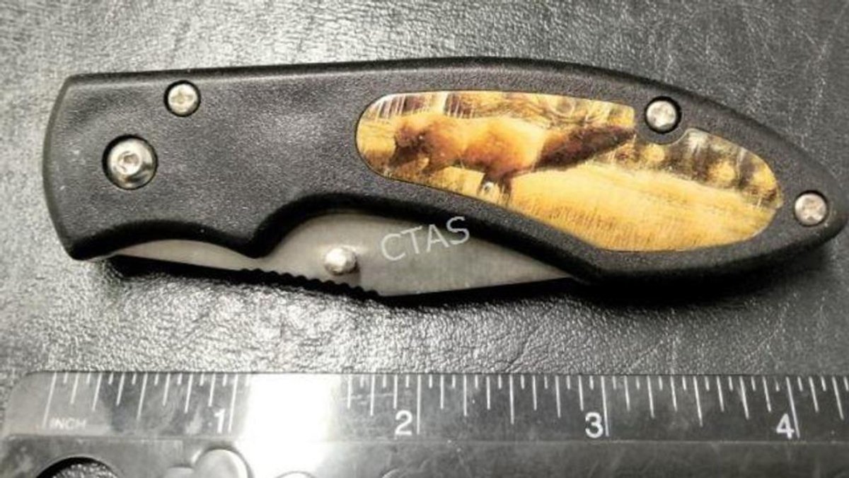 Moose Collectible Pocket Knife