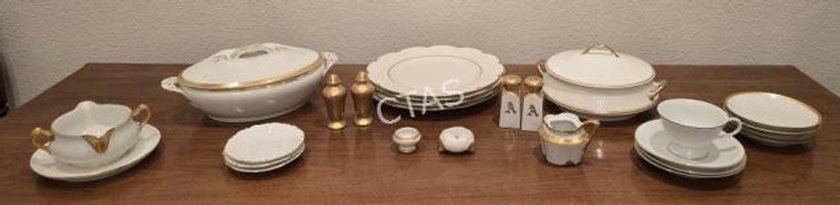 Porcelain Serveware & Dinnerware in White & Gold