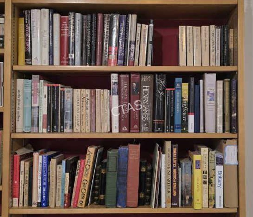 Books on (3) Shelves, Various Genres